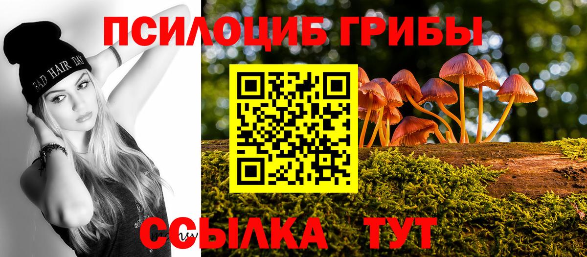 Псилоцибиновые грибы Cubensis  Вход с VPN  Каспийск 