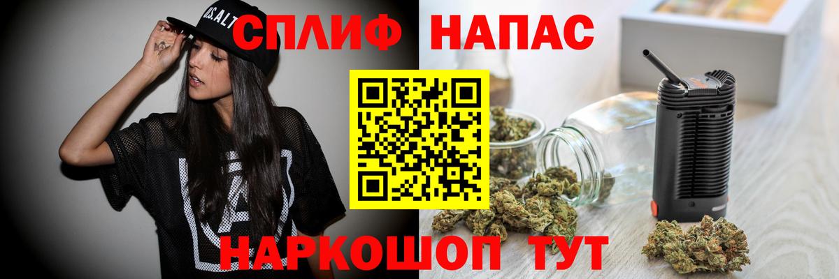 Конопля планчик Каспийск